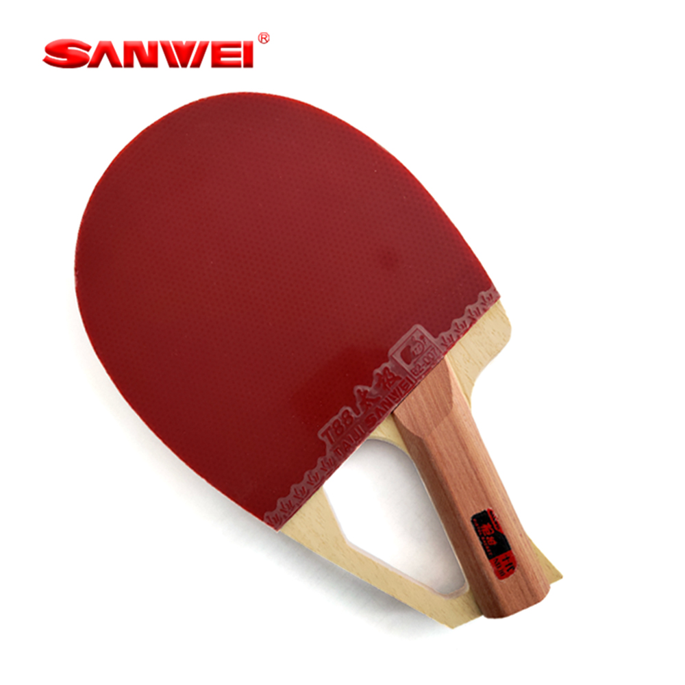 Origineel SANWEI gepatenteerd  - Table Tennis Paddles recensie en prijs