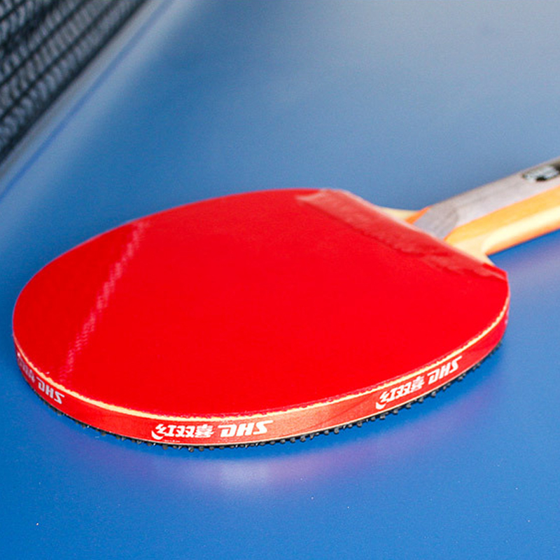 DHS zelfklevende Tafeltennis R - Table Tennis Barrier recensie en prijs