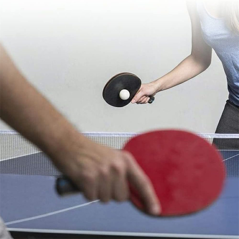 Draagbare Tafeltennisnet Polye - Table Tennis Barrier recensie en prijs